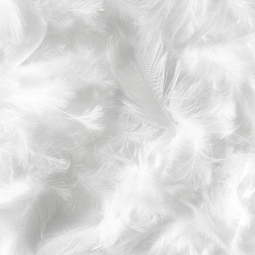 Gänsedauen Neubefpllung Rüger Daunen Manufaktur